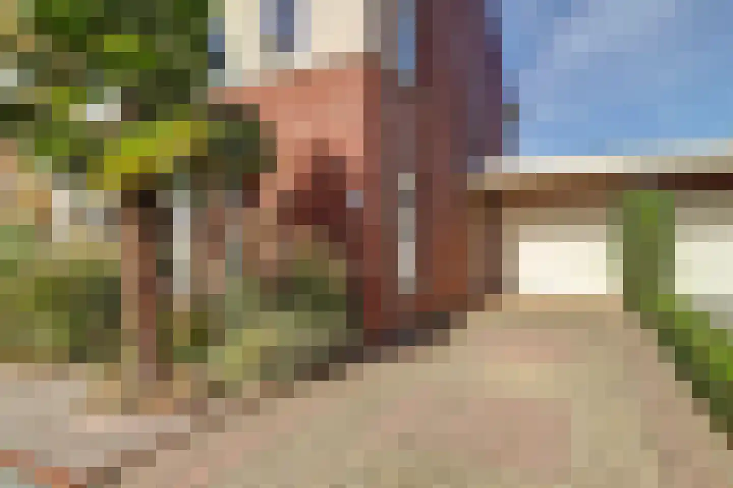 Pinkvelden 2 C Best thumbnail 59