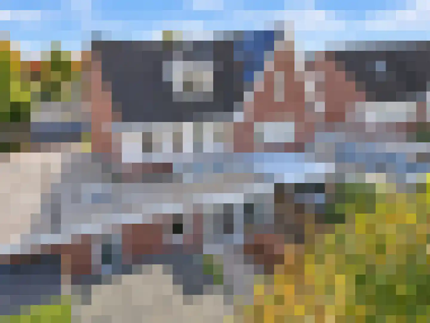 Pinkvelden 2 C Best thumbnail 60