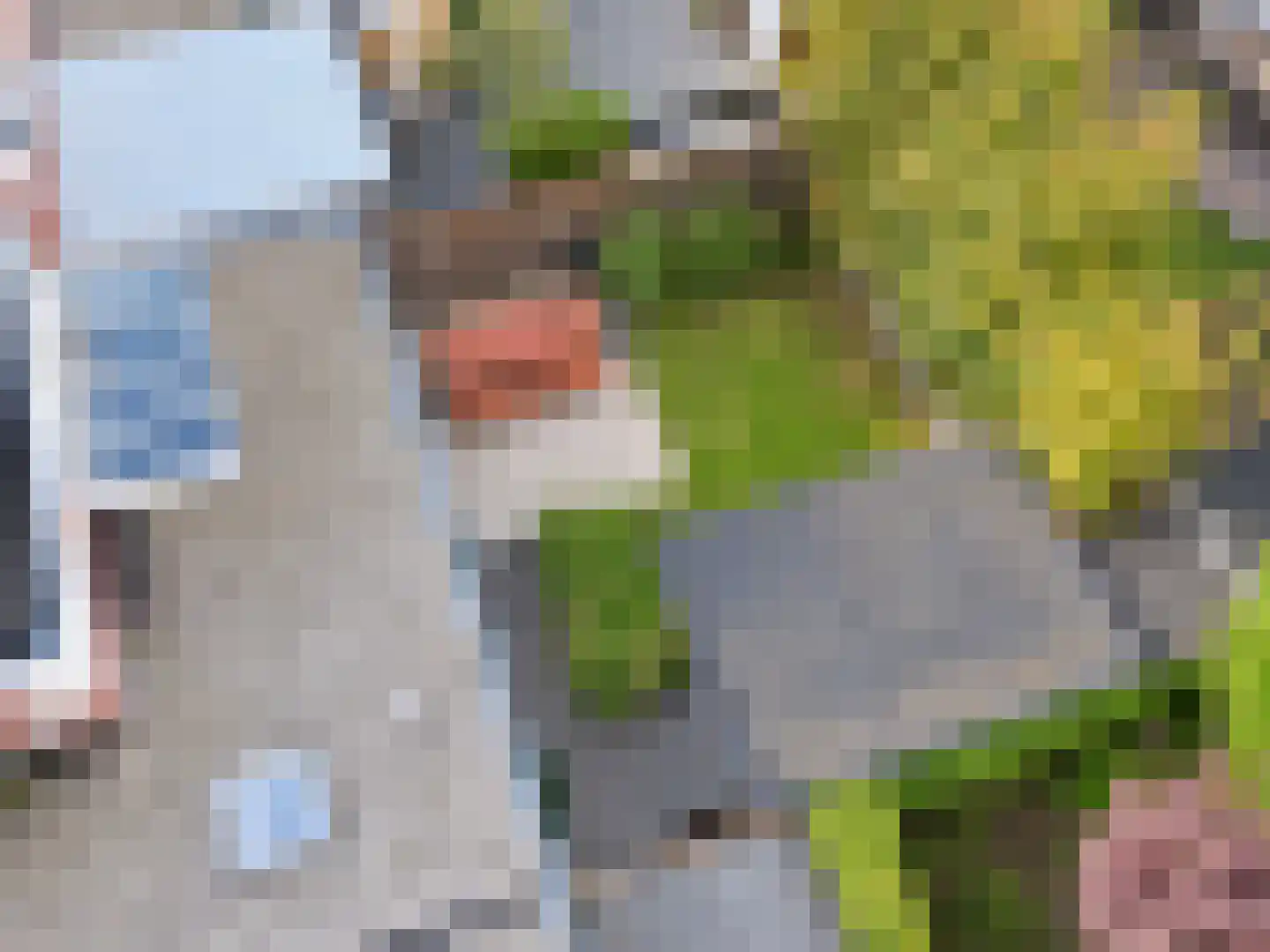 Pinkvelden 2 C Best thumbnail 61