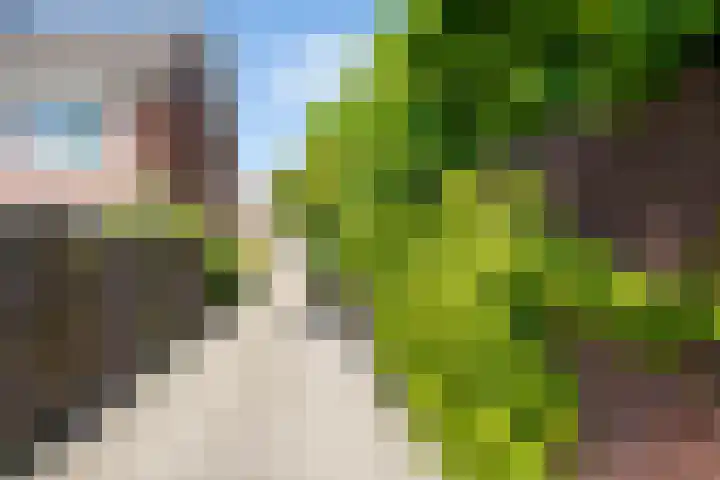 Pinnenburgerweg 40 Putten thumbnail 22