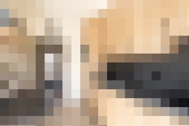 Pinnenburgerweg 40 Putten thumbnail 8