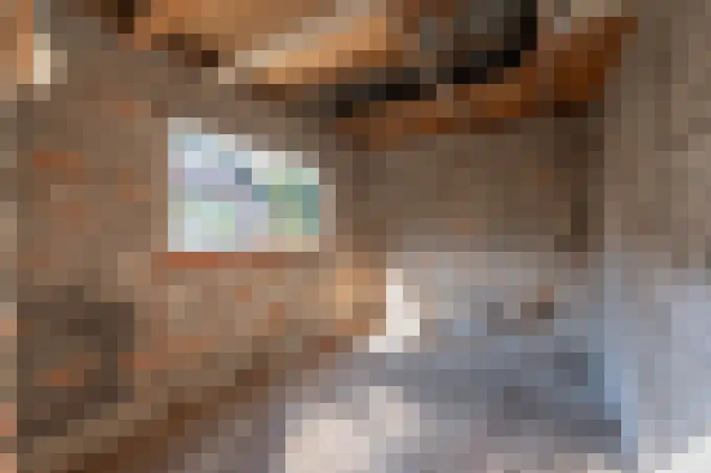 Pinnenburgerweg 61 Putten thumbnail 28