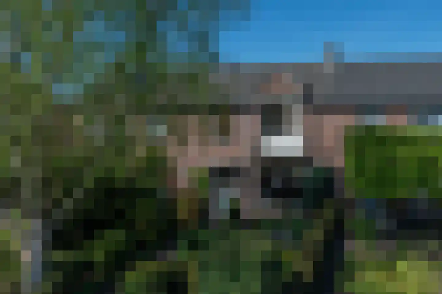 Pinnenburgerweg 61 Putten thumbnail 35
