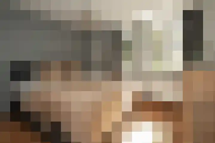 Pintol 12 Best thumbnail 12