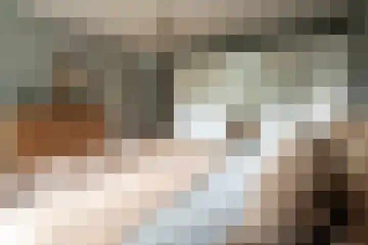 Pintol 12 Best thumbnail 13