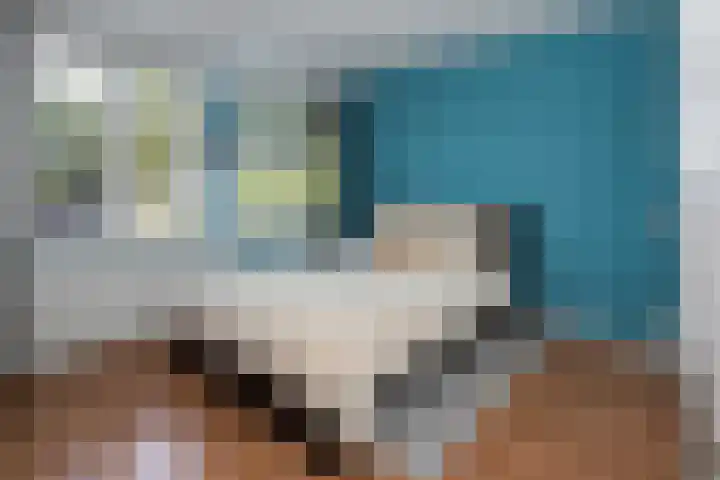 Pintol 12 Best thumbnail 14