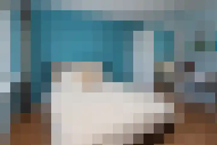 Pintol 12 Best thumbnail 15