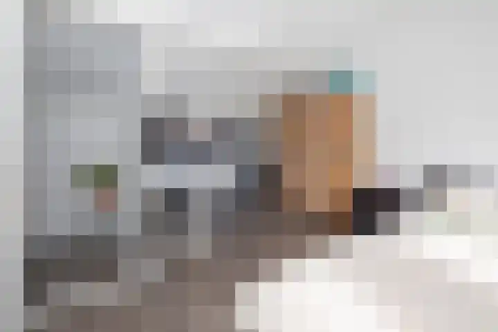 Pintol 12 Best thumbnail 21