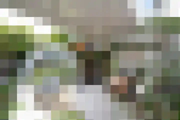 Pintol 12 Best thumbnail 22