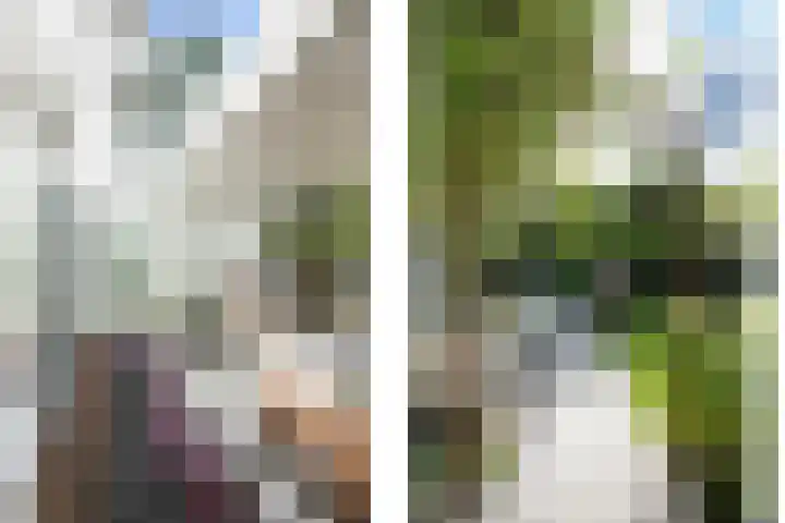 Pintol 12 Best thumbnail 23
