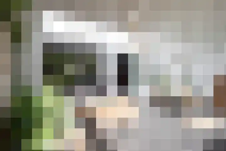 Pintol 12 Best thumbnail 24