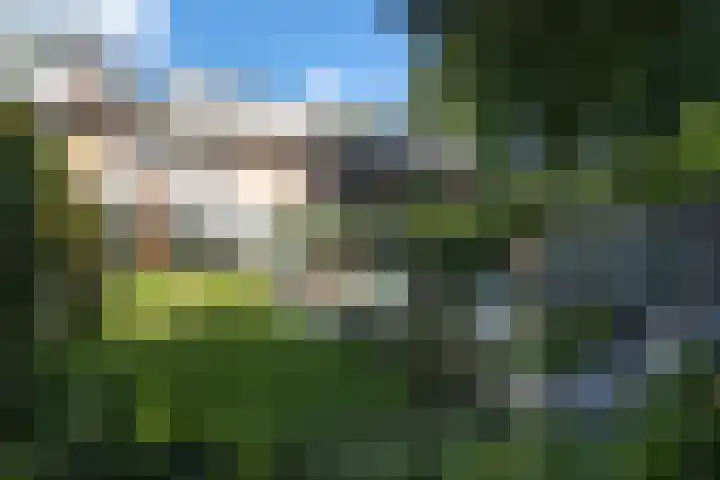 Pintol 12 Best thumbnail 28