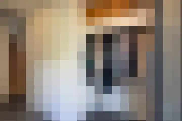 Pintol 12 Best thumbnail 30