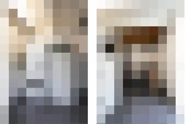 Pintol 12 Best thumbnail 31