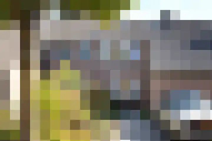 Pintol 12 Best thumbnail 32
