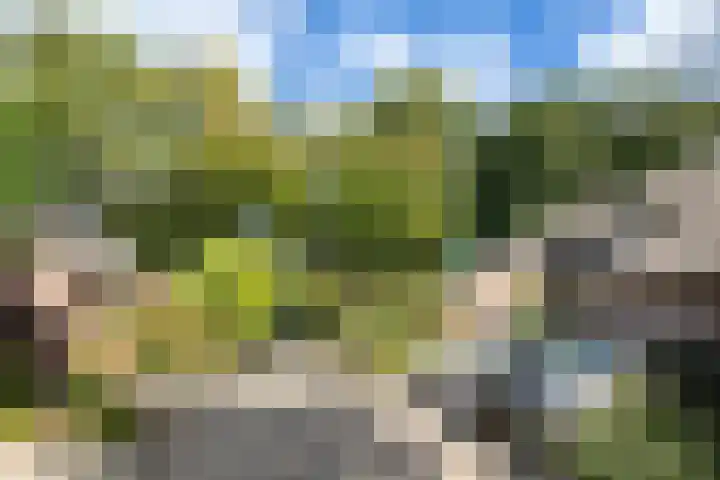 Pintol 12 Best thumbnail 33