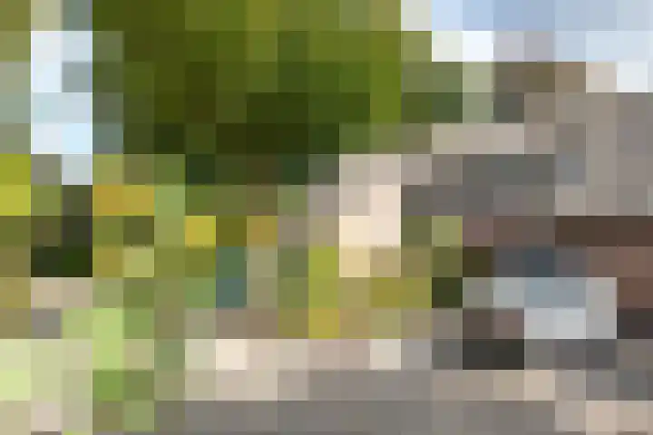 Pintol 12 Best thumbnail 34