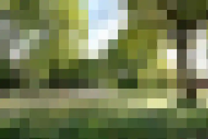 Pintol 12 Best thumbnail 35