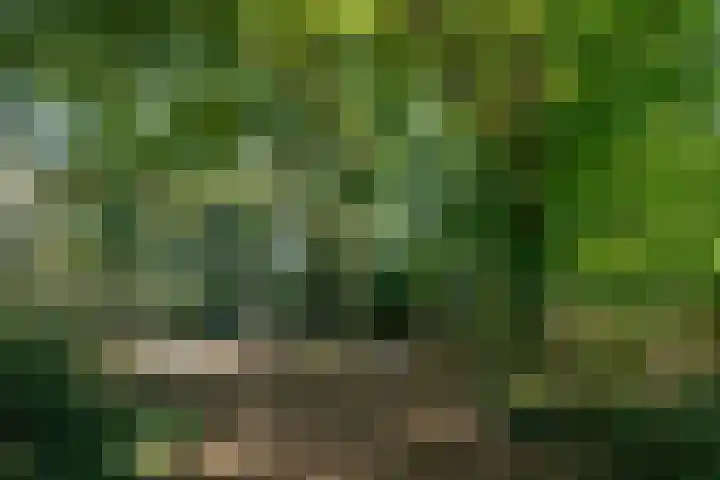 Pintol 12 Best thumbnail 36