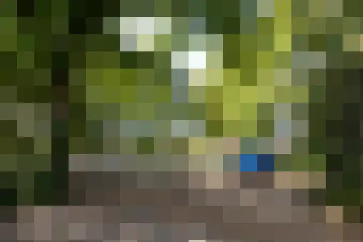 Pintol 12 Best thumbnail 37