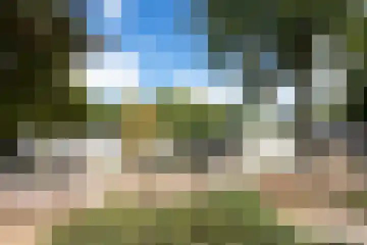 Pintol 12 Best thumbnail 38