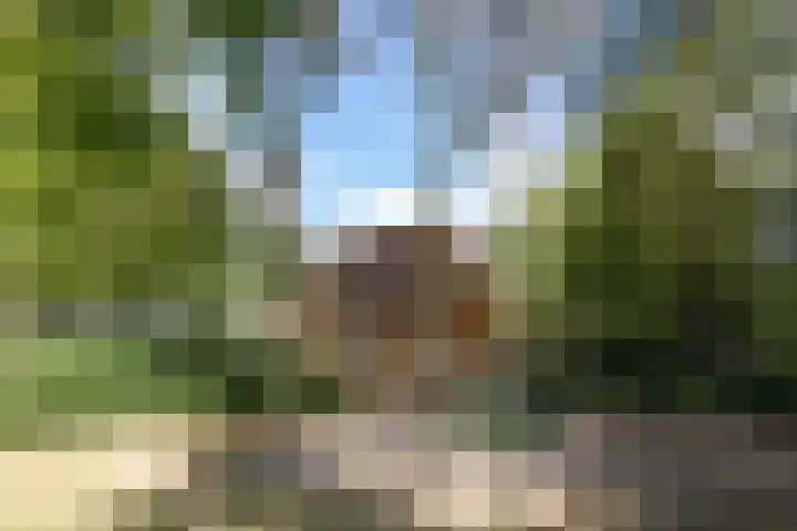 Pintol 12 Best thumbnail 39