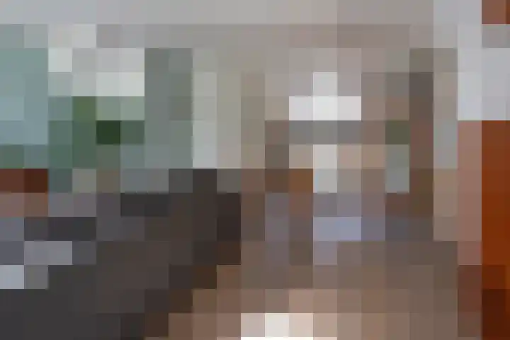 Pintol 12 Best thumbnail 4
