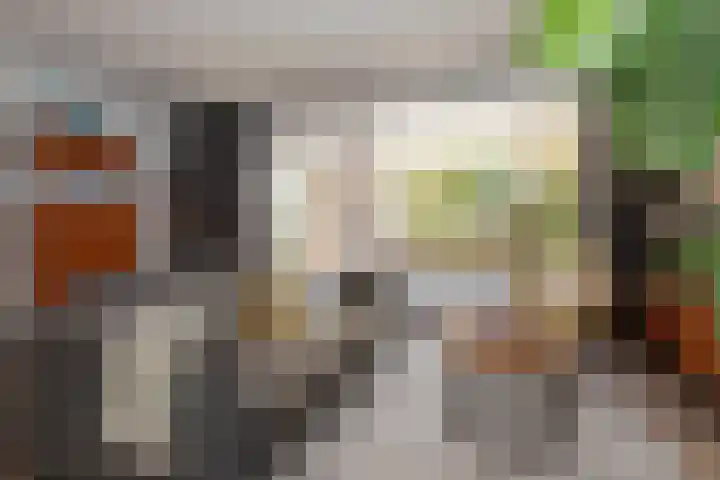 Pintol 12 Best thumbnail 7