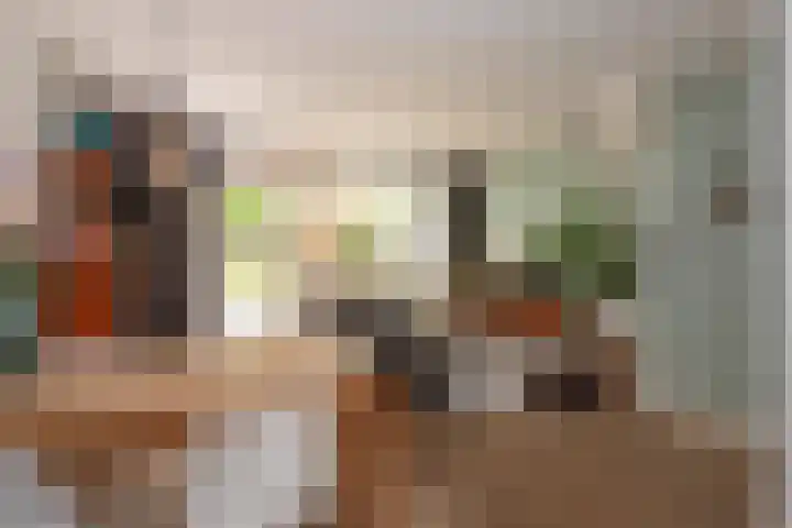 Pintol 12 Best thumbnail 8