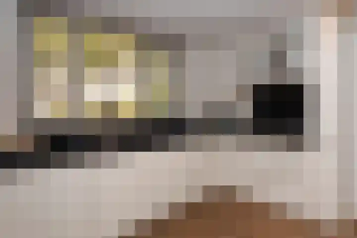 Pintol 12 Best thumbnail 9