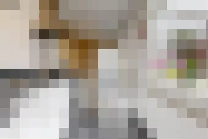 Pinxterstraat 6 Zwaag thumbnail 11