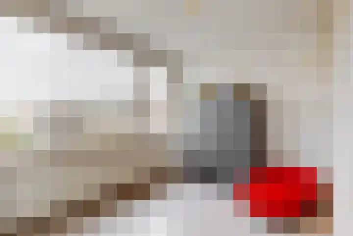Pinxterstraat 6 Zwaag thumbnail 16