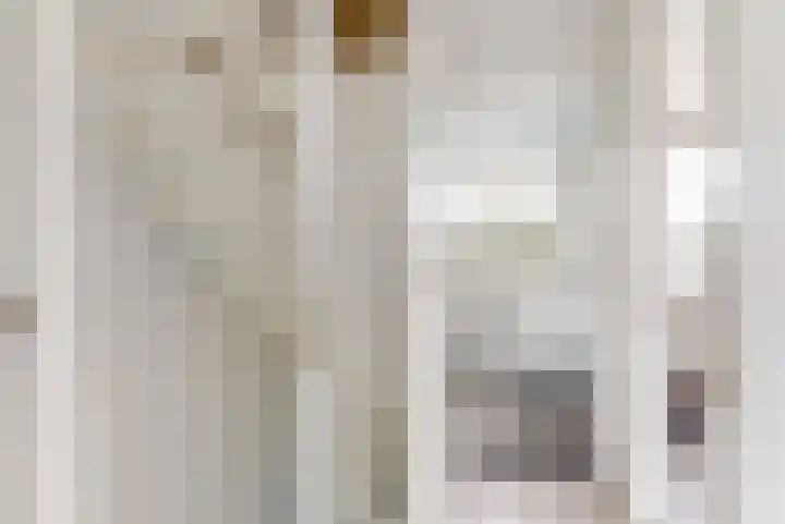 Pinxterstraat 6 Zwaag thumbnail 18