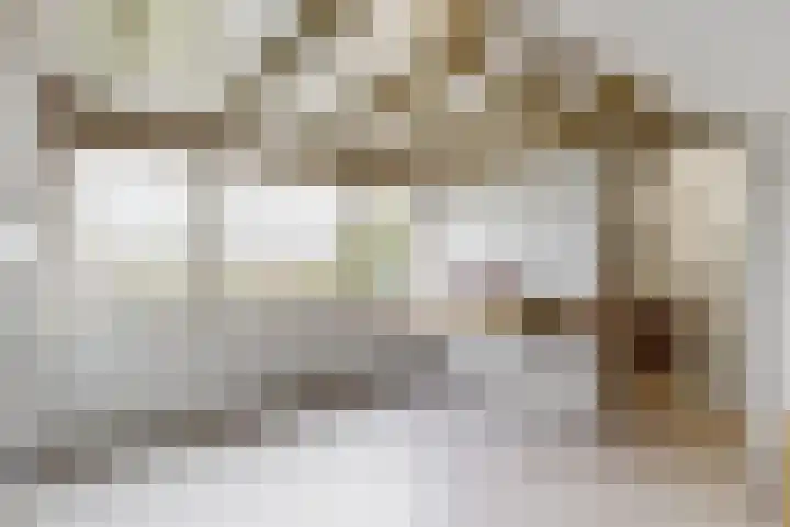 Pinxterstraat 6 Zwaag thumbnail 21
