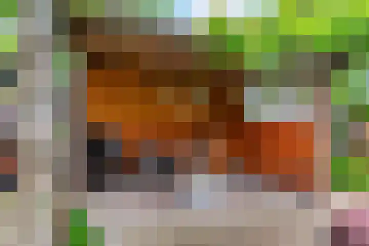 Pinxterstraat 6 Zwaag thumbnail 26