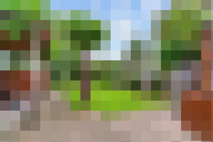 Pinxterstraat 6 Zwaag thumbnail 27