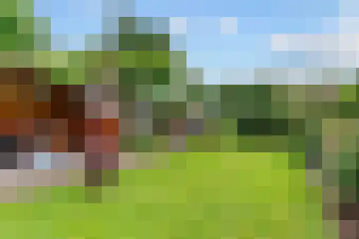 Pinxterstraat 6 Zwaag thumbnail 28