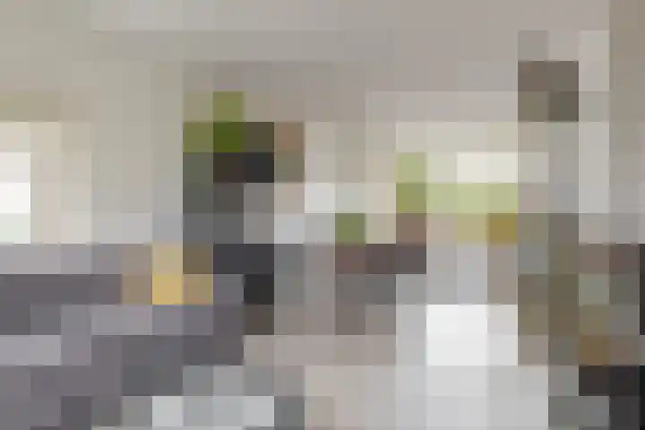 Pinxterstraat 6 Zwaag thumbnail 6