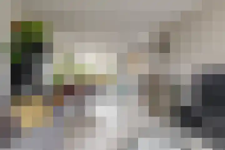 Pinxterstraat 6 Zwaag thumbnail 7
