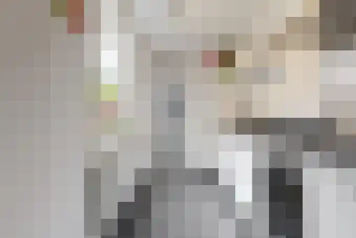 Pinxterstraat 6 Zwaag thumbnail 8