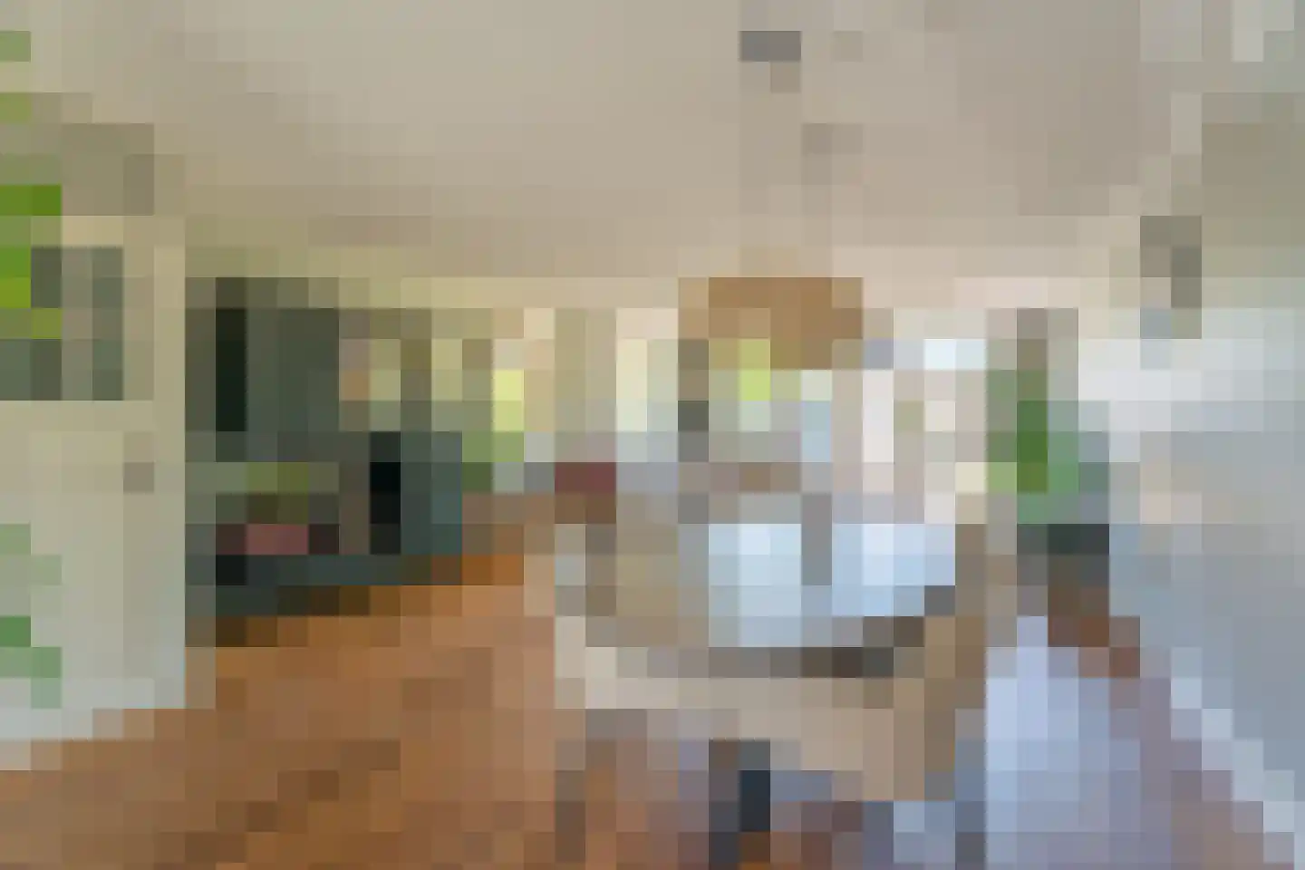 Pioen 15 Noordwijkerhout thumbnail 11