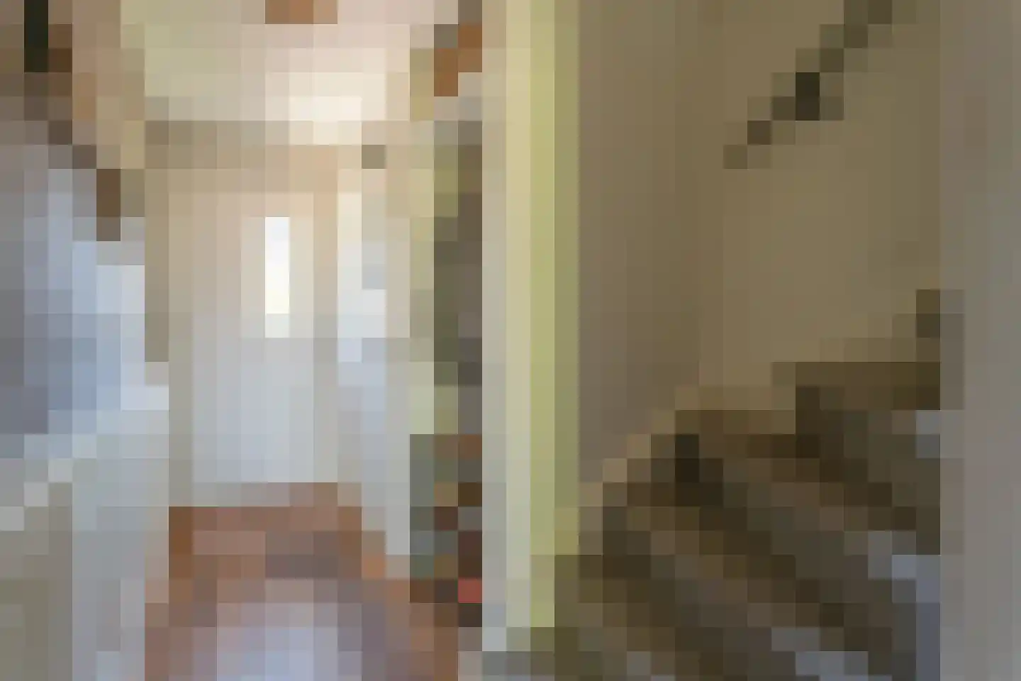 Pioen 15 Noordwijkerhout thumbnail 12