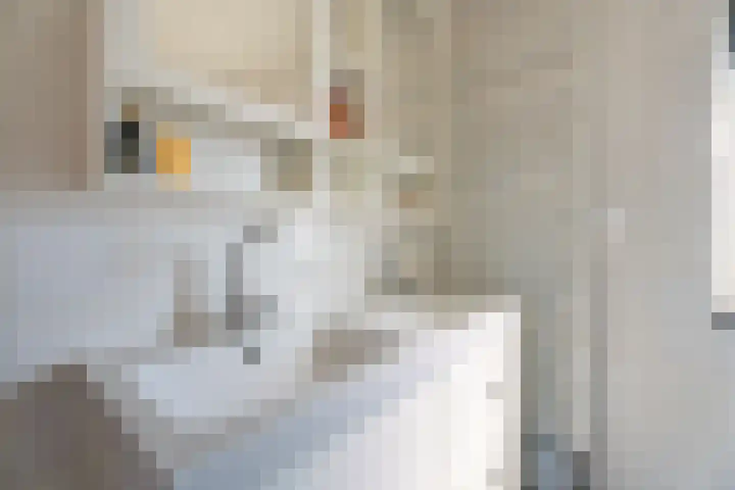 Pioen 15 Noordwijkerhout thumbnail 22