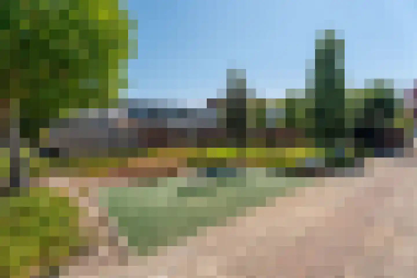 Pioen 15 Noordwijkerhout thumbnail 31