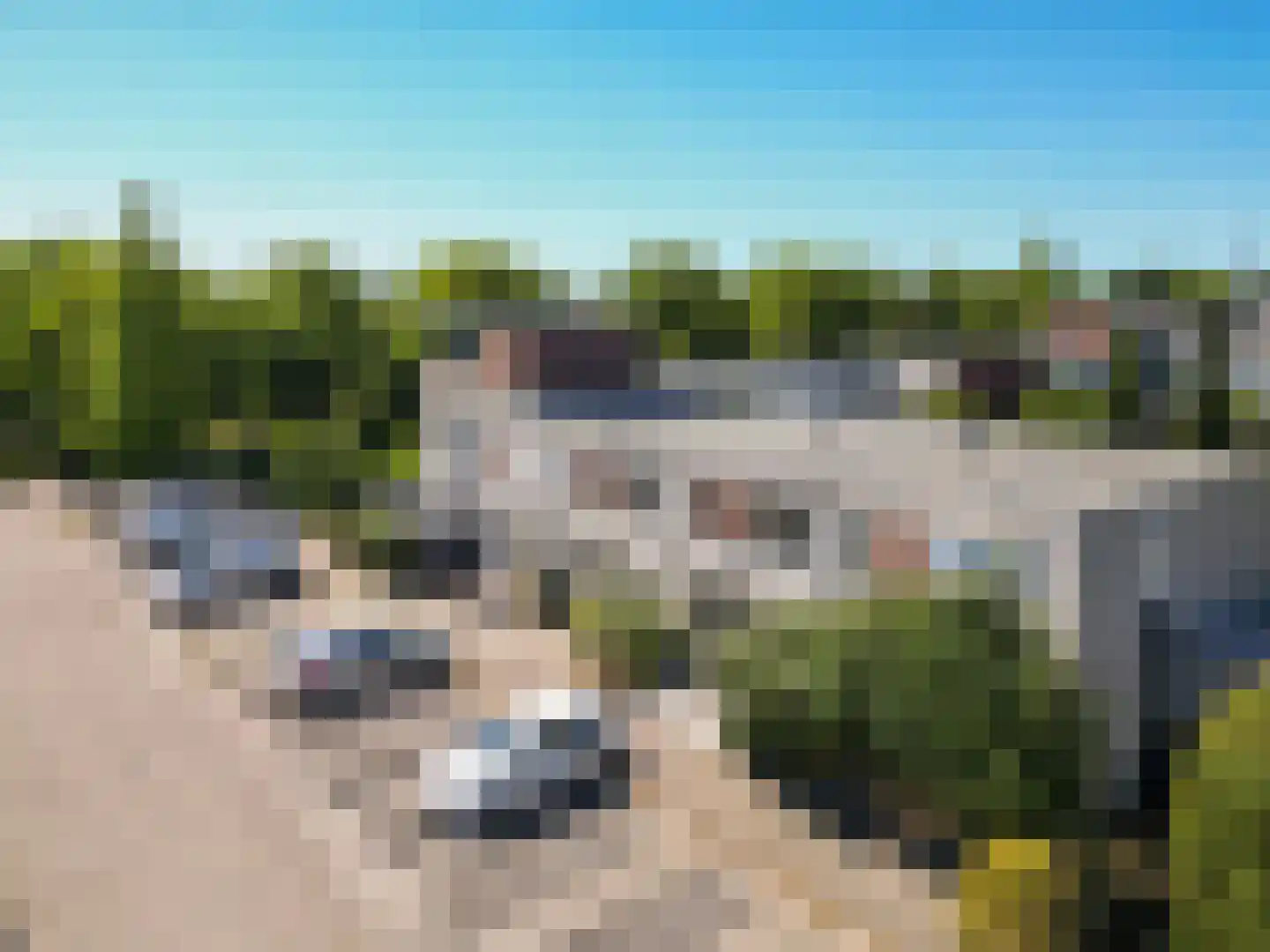 Pioen 15 Noordwijkerhout thumbnail 36
