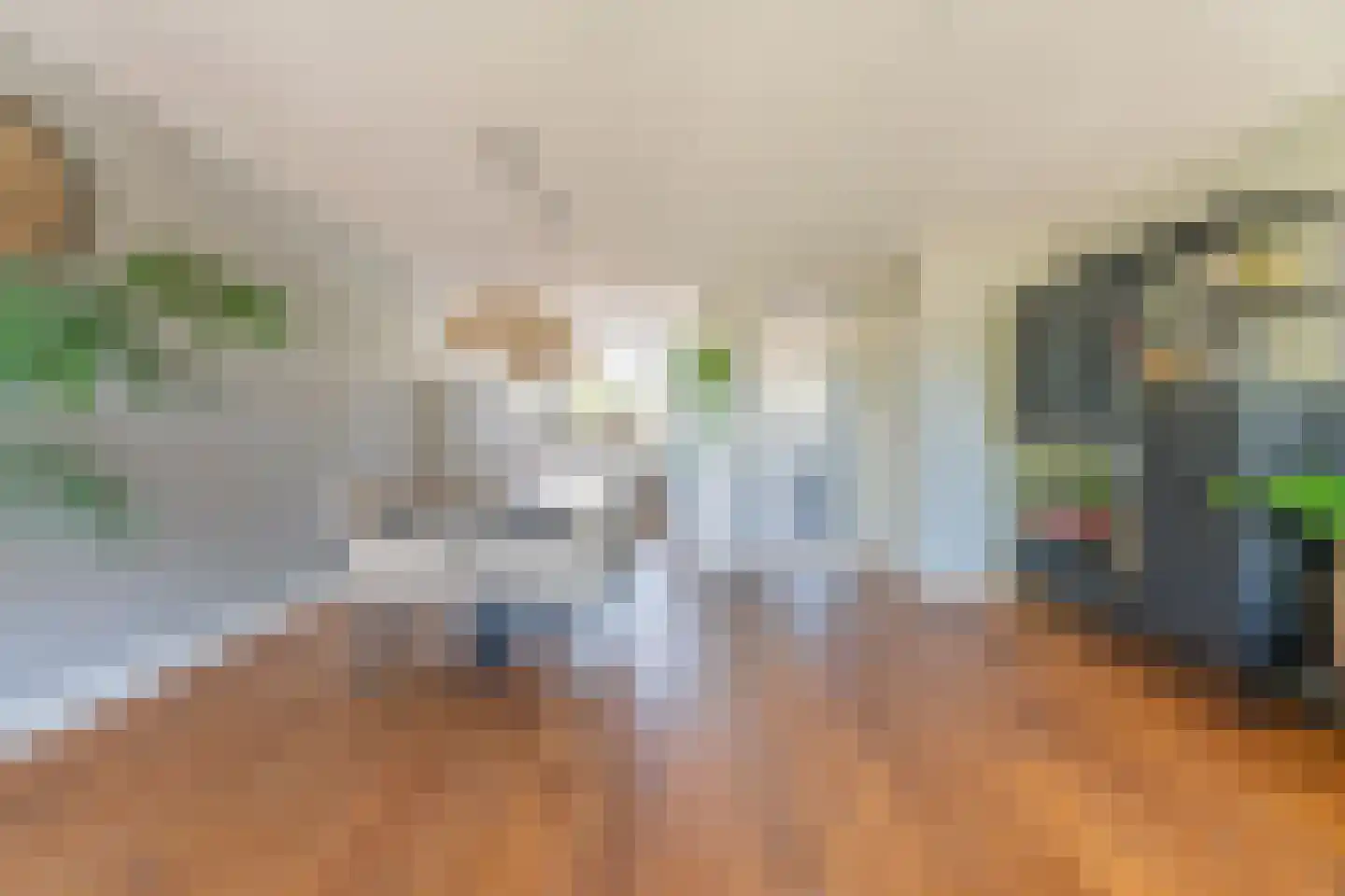 Pioen 15 Noordwijkerhout thumbnail 7
