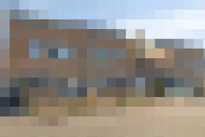 Pioen 21 Noordwijkerhout thumbnail 10