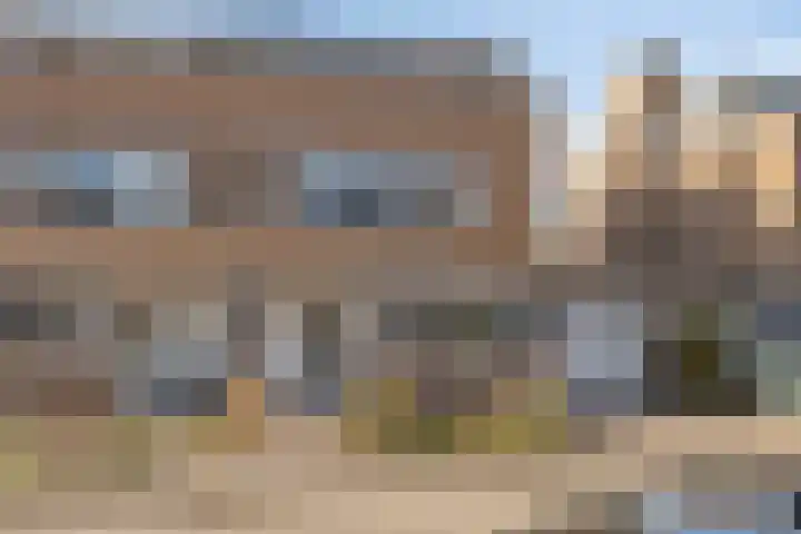 Pioen 21 Noordwijkerhout thumbnail 11
