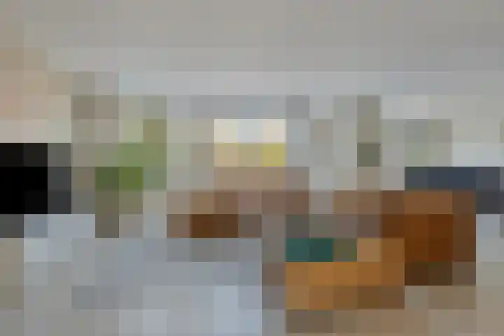 Pioen 21 Noordwijkerhout thumbnail 12