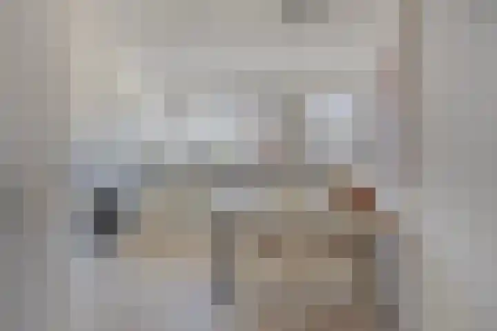 Pioen 21 Noordwijkerhout thumbnail 13